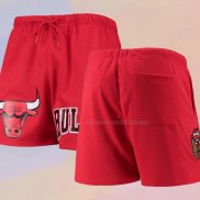 Pantalone Chicago Bulls Pro Standard Mesh Capsule Rojo